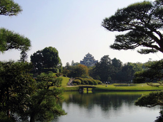 Similar image 985046