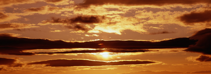 Similar image 985049