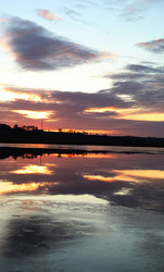 Similar image 985056