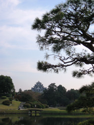 Similar image 985058