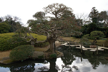 Similar image 985059