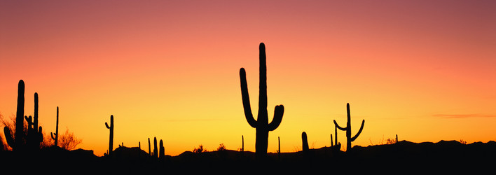 Similar image 985064