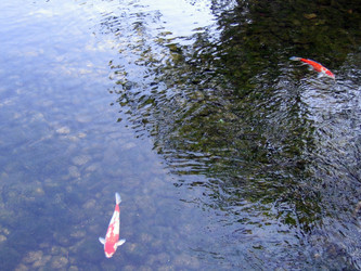 Similar image 985065