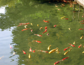 Similar image 985066