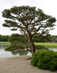 Similar image 985072