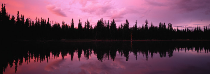 Similar image 985073