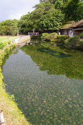 Similar image 985076