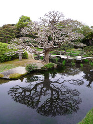 Similar image 985080