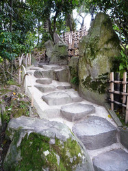 Similar image 985091