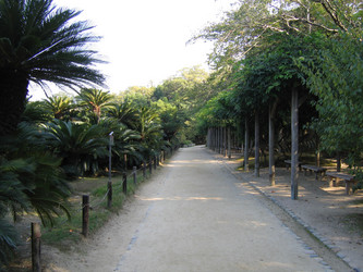 Similar image 985100