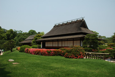 Similar image 985127