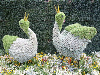 Similar image 985136