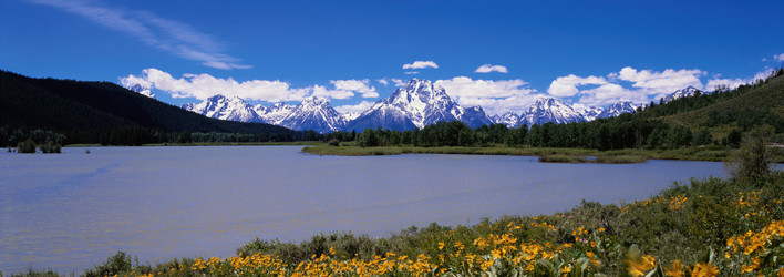 Similar image 985151