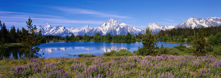 Similar image 985157