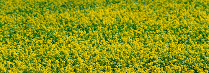 Similar image 985171