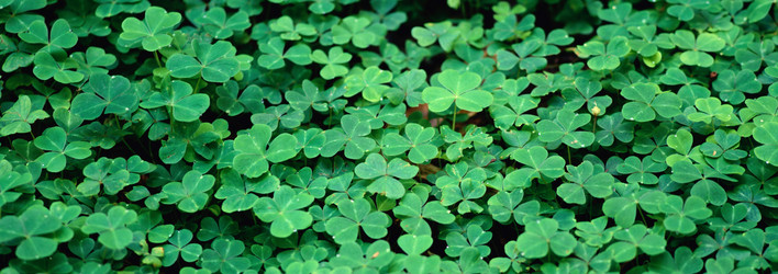 Similar image 985175