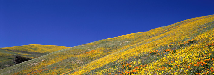 Similar image 985183