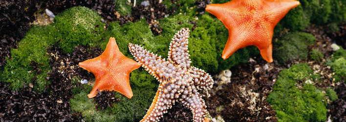 Similar image 985190