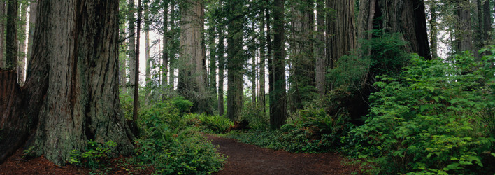 Similar image 985200