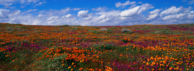 Similar image 985207