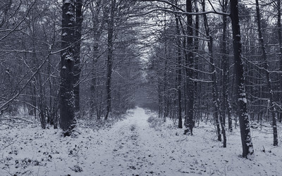 Similar image 985238