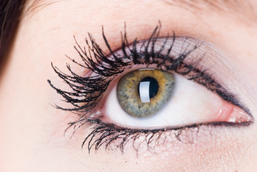 Similar image 985414