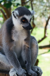 Similar image 985447