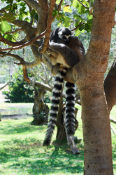 Similar image 985449