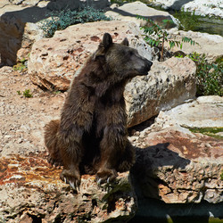 Similar image 985461