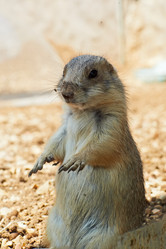 Similar image 985476