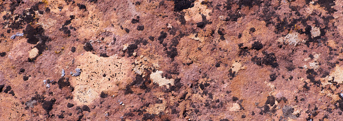 Similar image 985483