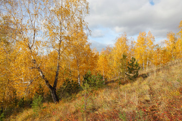 Similar image 985504