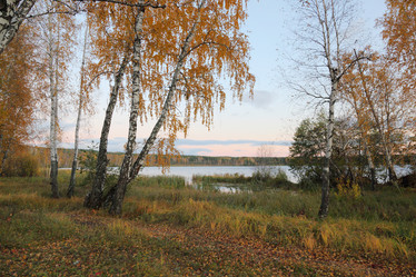 Similar image 985540