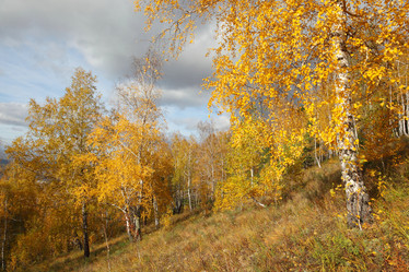 Similar image 985551