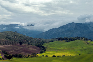 Similar image 985557