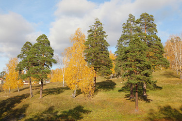 Similar image 985558