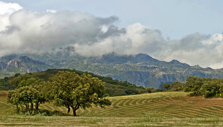 Similar image 985561