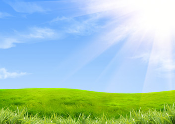 Similar image 985570