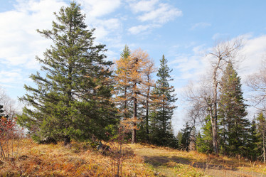 Similar image 985572