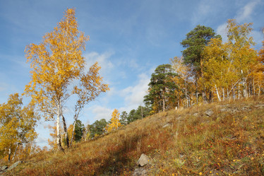 Similar image 985581