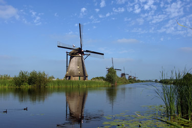 Similar image 985594