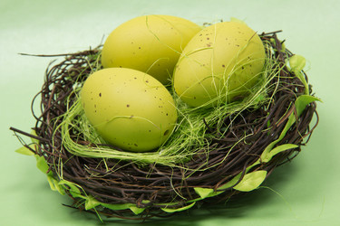 Similar image 985632