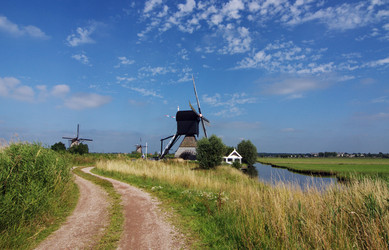 Similar image 985654