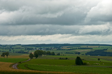 Similar image 985661