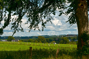 Similar image 985663