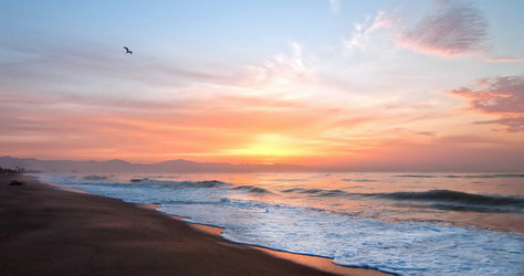 Similar image 985664