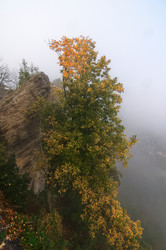 Similar image 985685