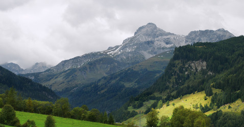 Similar image 985694