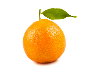 Similar image 985716