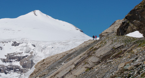 Similar image 985718